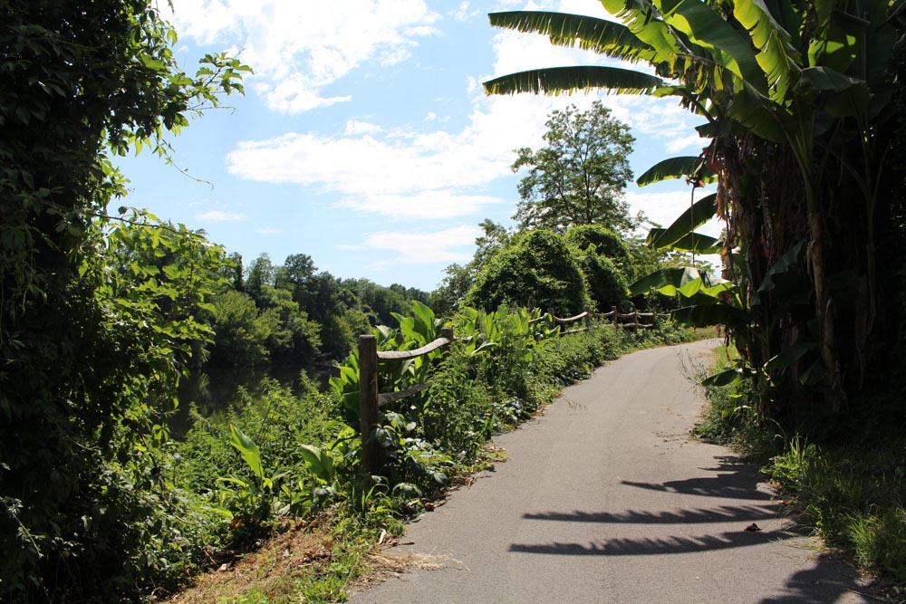 Véloroute Voie Verte V91