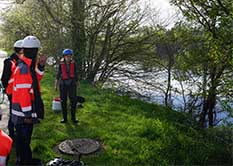 Des gammares ou petites crevettes d’eau douce dans la Dordogne